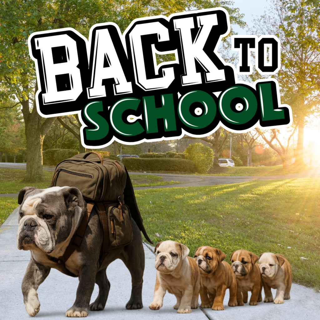 Back to School