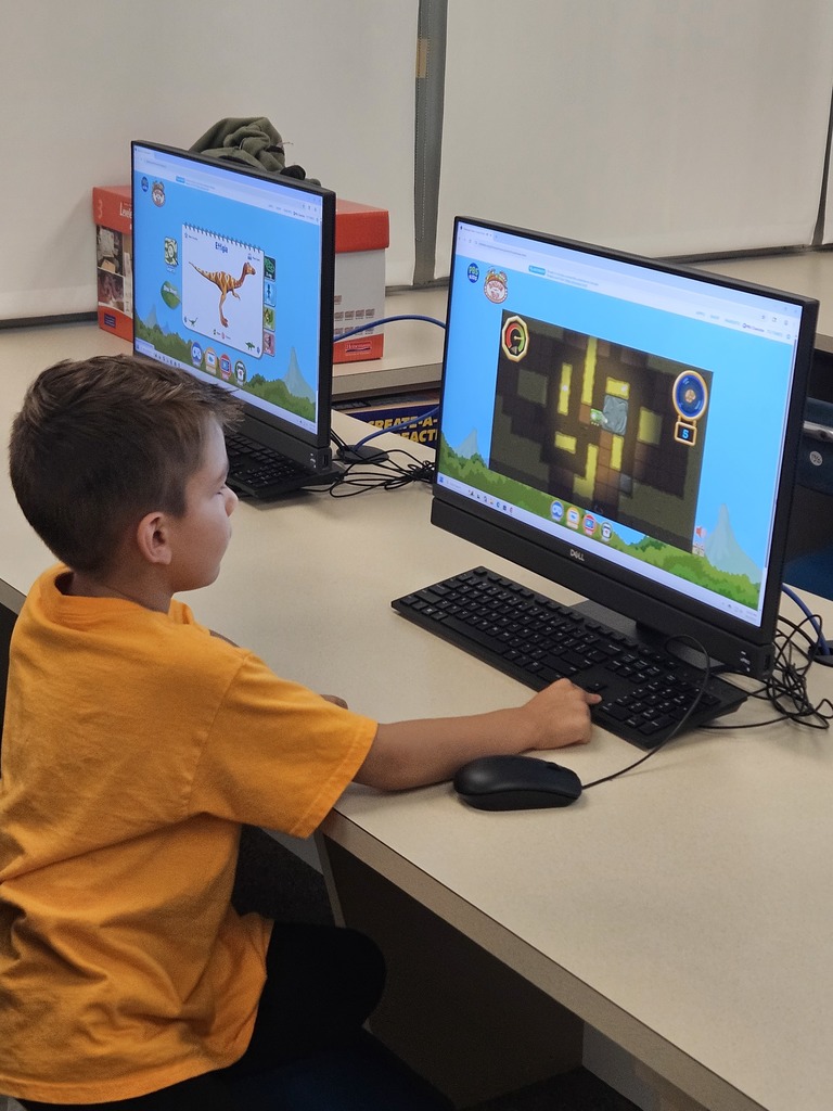 boy at computer