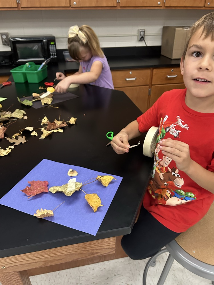 Leaf Man Stem