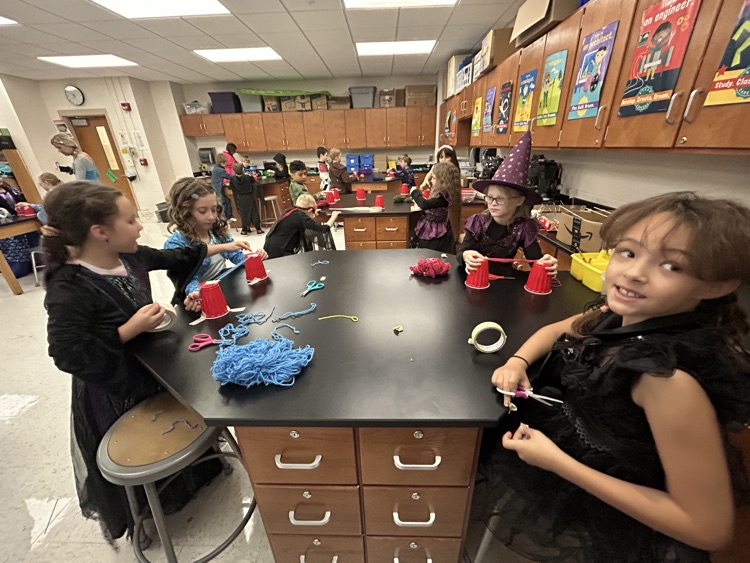 spider stem second grade 