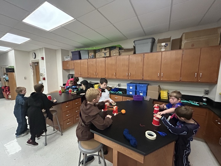 spider stem second grade 