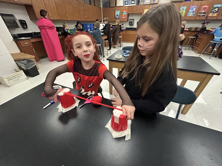 spider stem second grade 