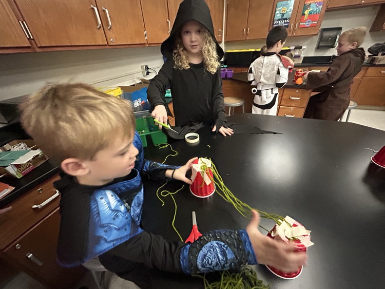 spider stem second grade 