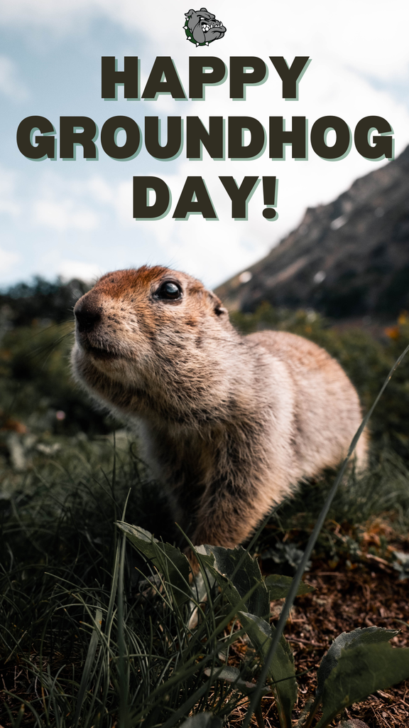 Happy Groundhog Day!