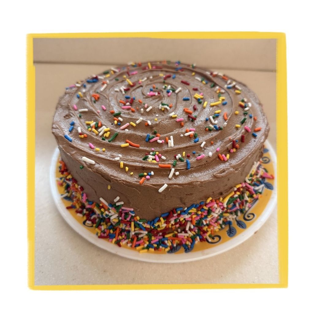 Chocolate cake with sprinkles