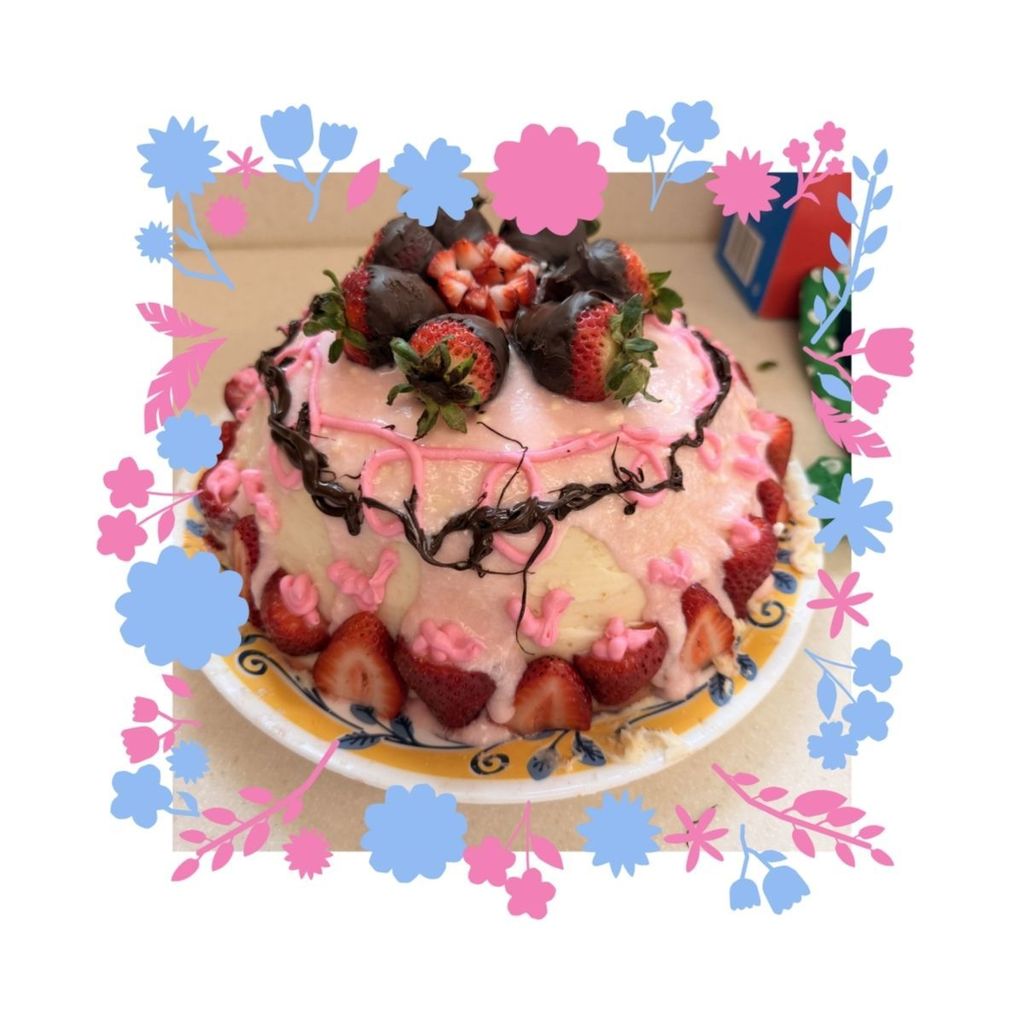 Dome shaped cake with strawberries