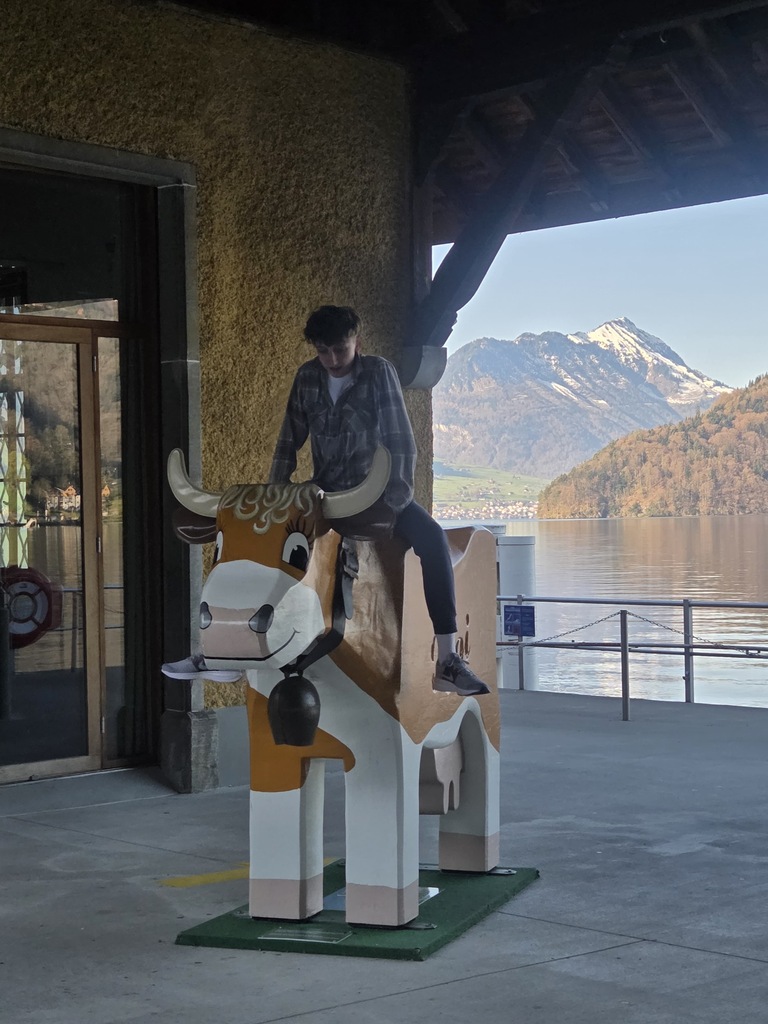 A student riding a wooden cow in Switzerland