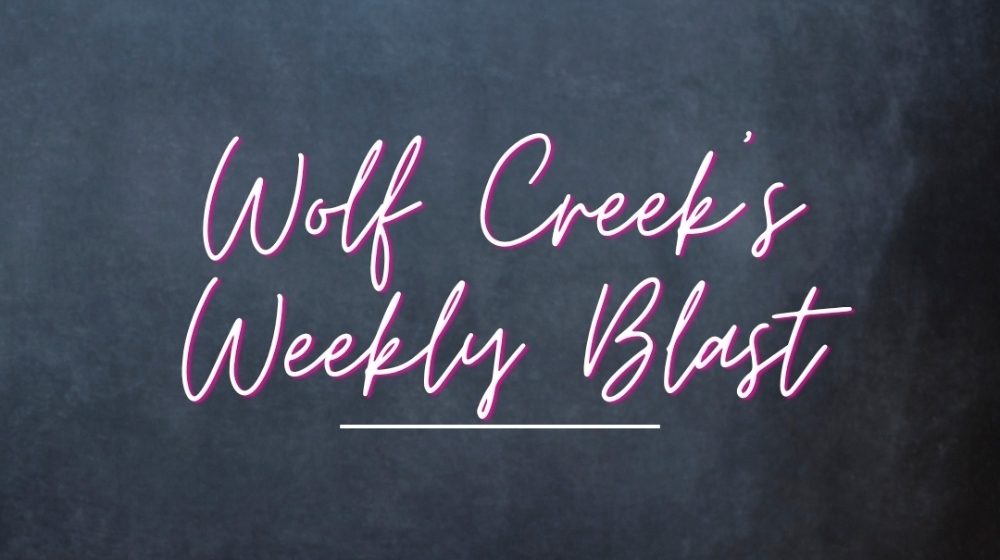Weekly newsletter logo
