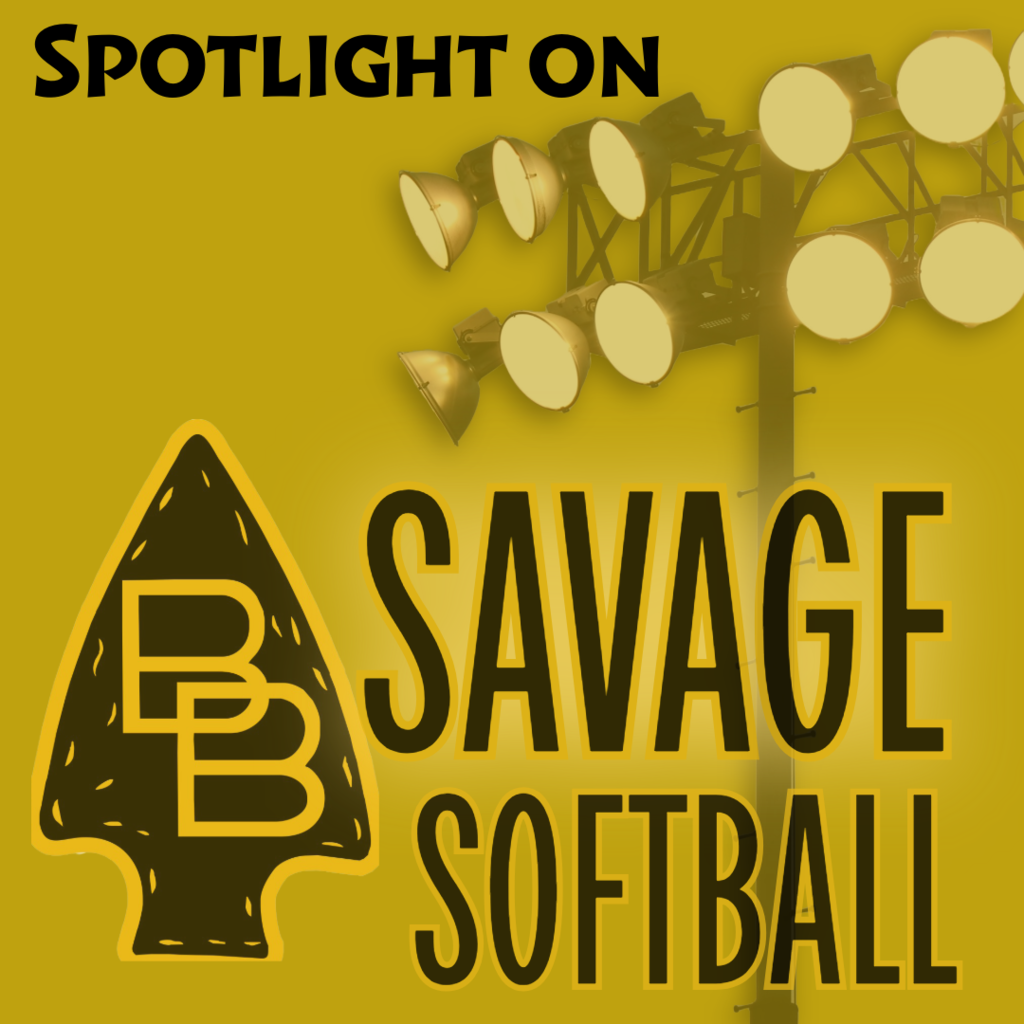 savage softball all district