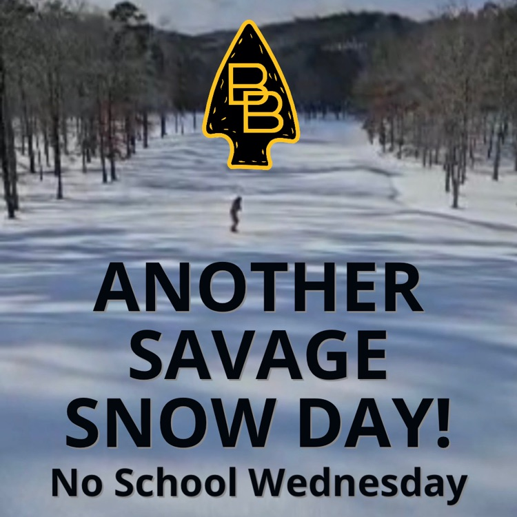 snow day graphic