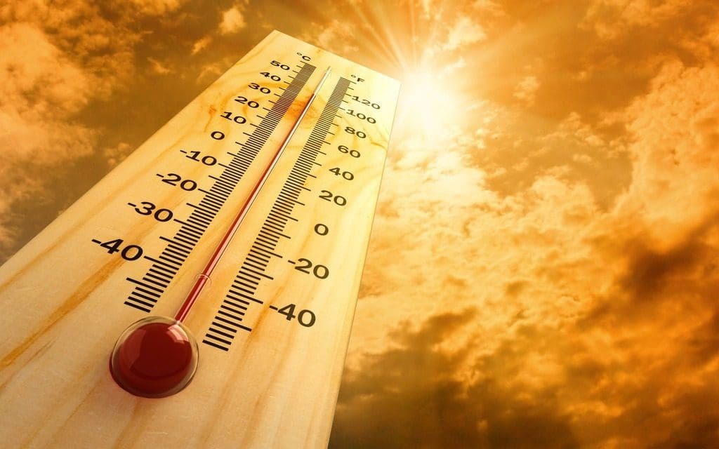 high temps - half day