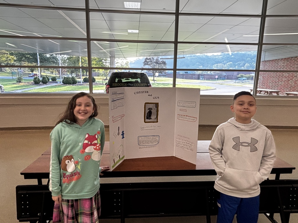 Lit fair photos