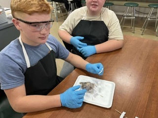 Dissections