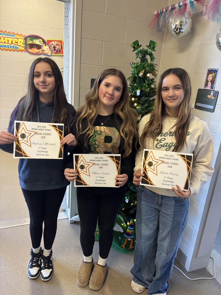 Social Studies Fair Winners