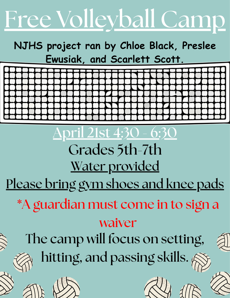 Free Volleyball Camp