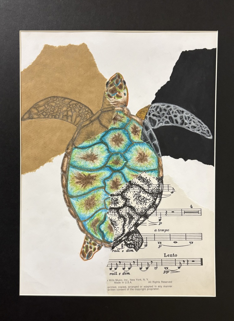 Art Show