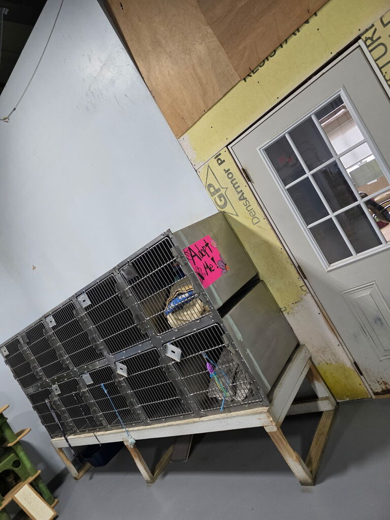 NJHS Project