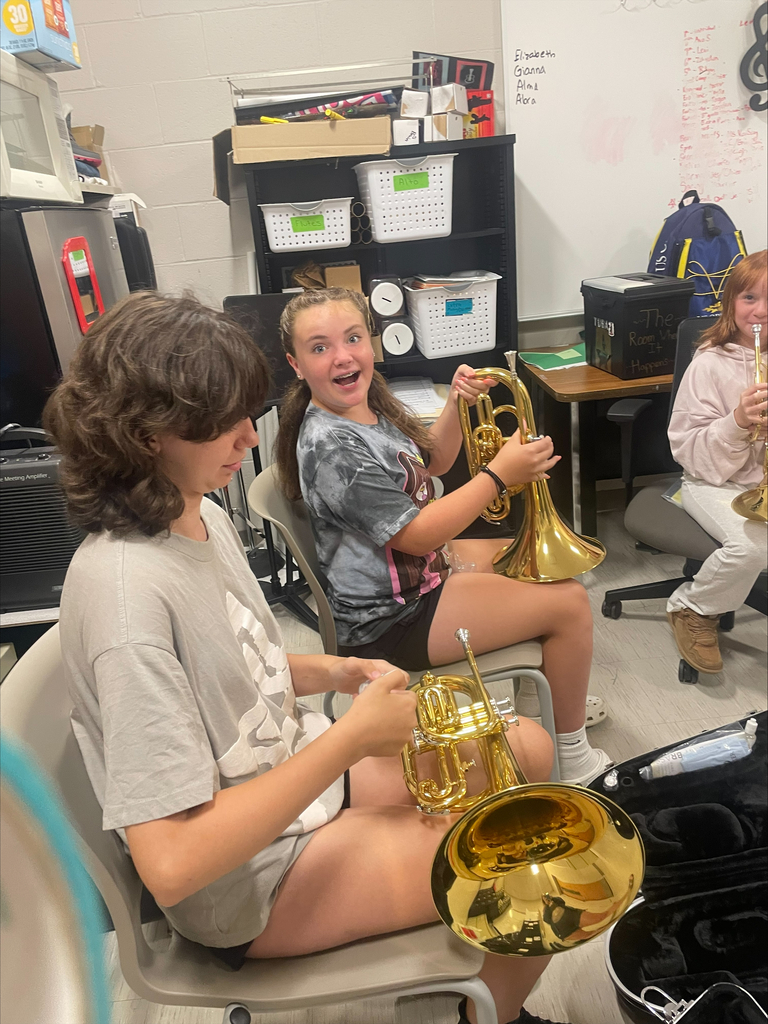 BMS band