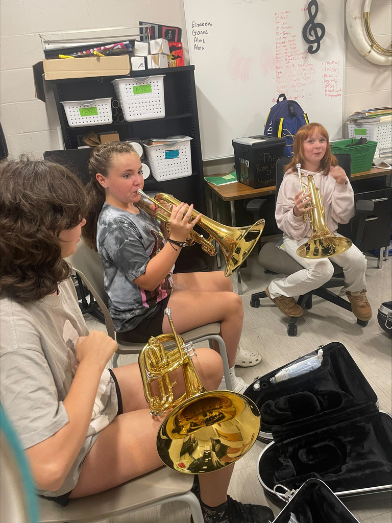 BMS band