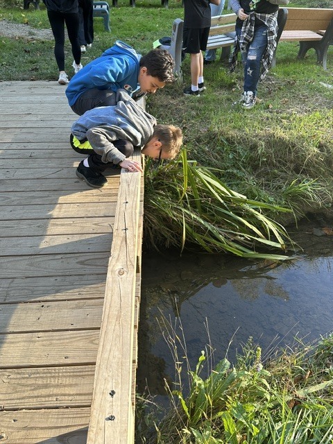 creek