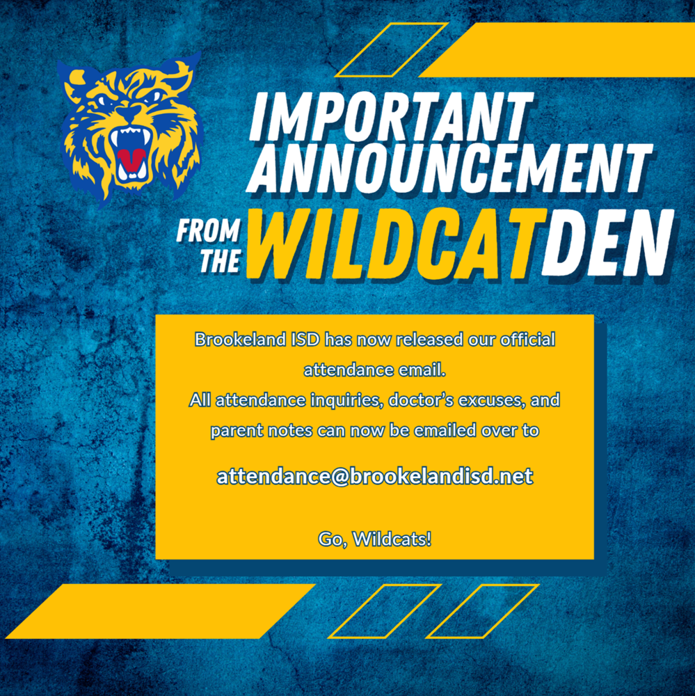 wild cat news 