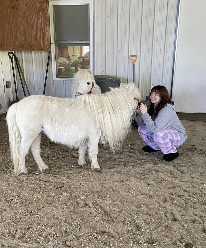 Student pets miniature pony