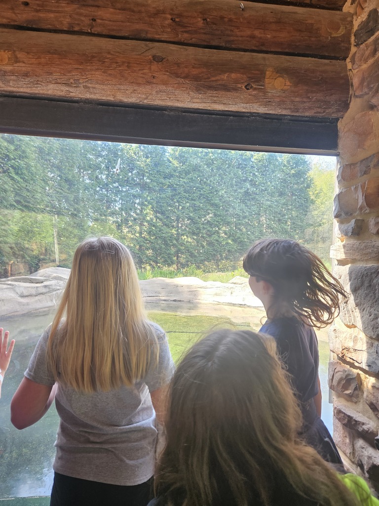 Our 4th Graders had an amazing time exploring and learning at the Akron Zoo! From exciting animal encounters to hands-on educational experiences, it was a day full of fun, discovery, and unforgettable memories. 🦒🐘🦜