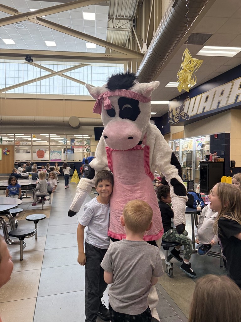 Molly the Cow