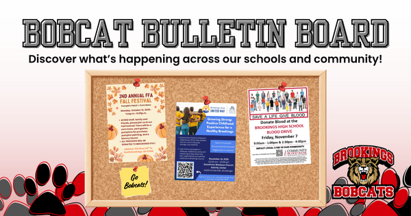 Decorative Image of a bulletin board with flyers on it.