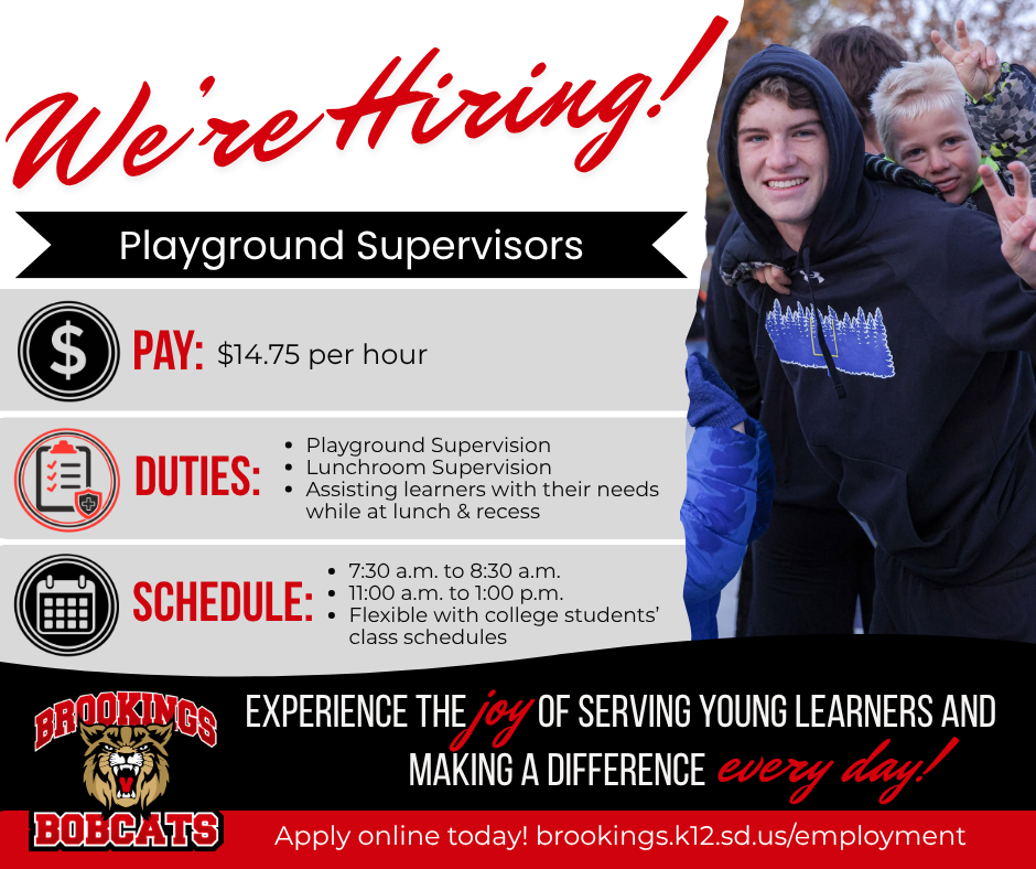 Playground Supervisors