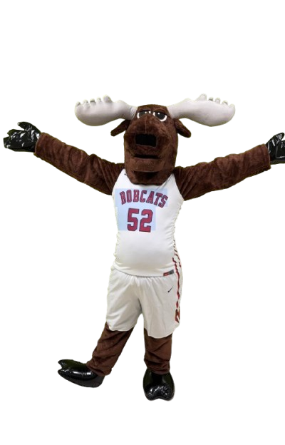 DP