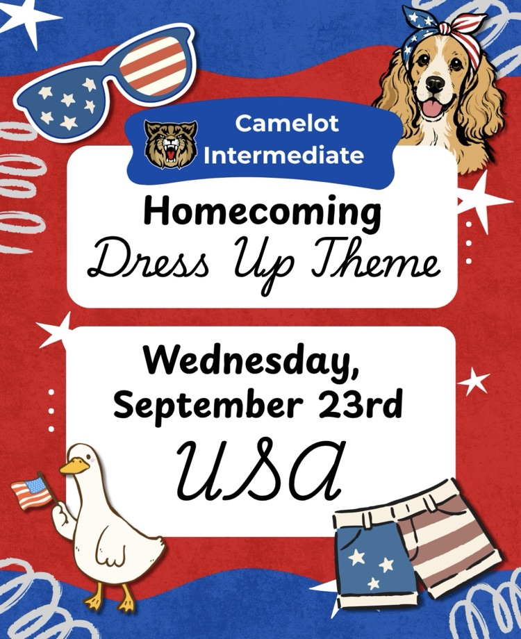 USA day
