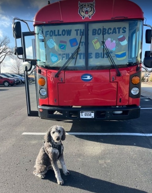 Rizzo the dog in front of the bus.