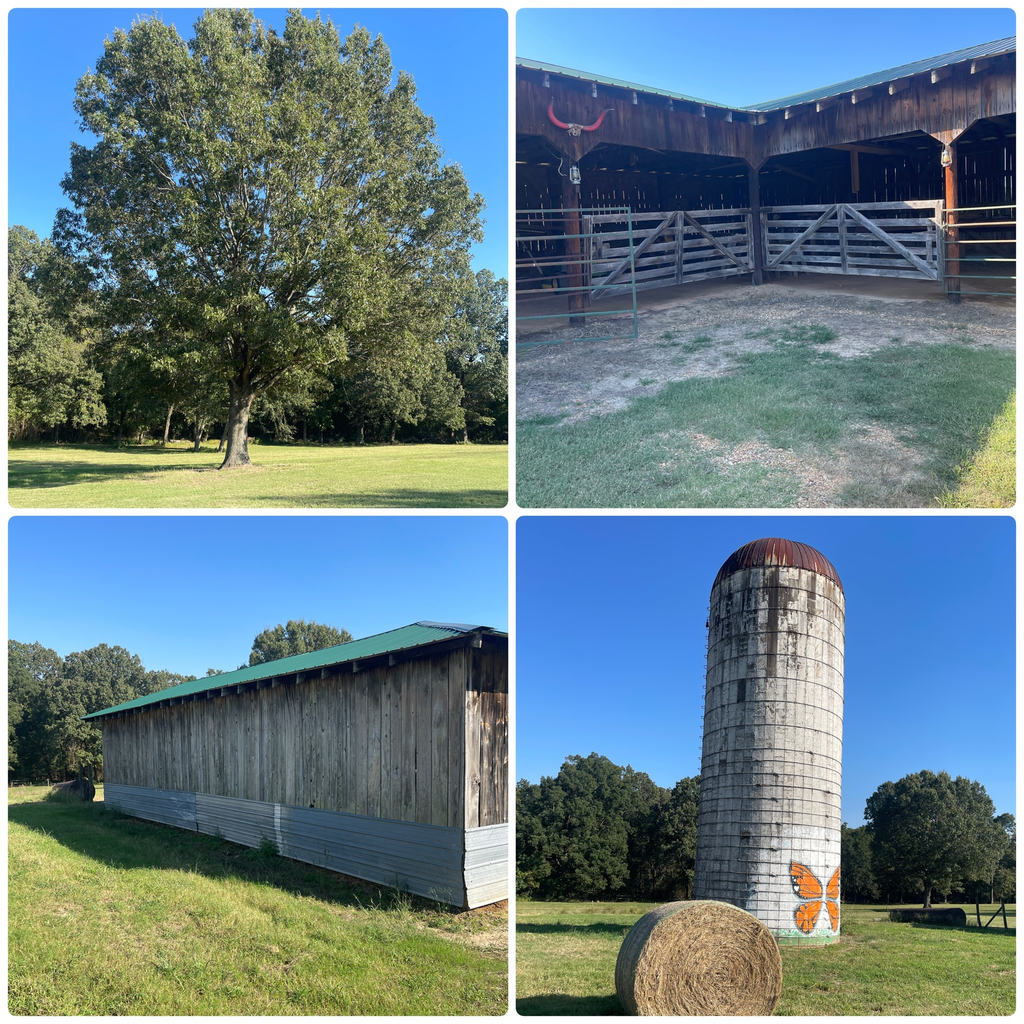 Photo Location