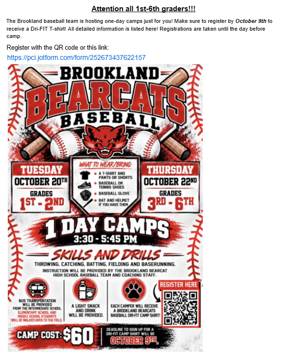 Baseball Camp