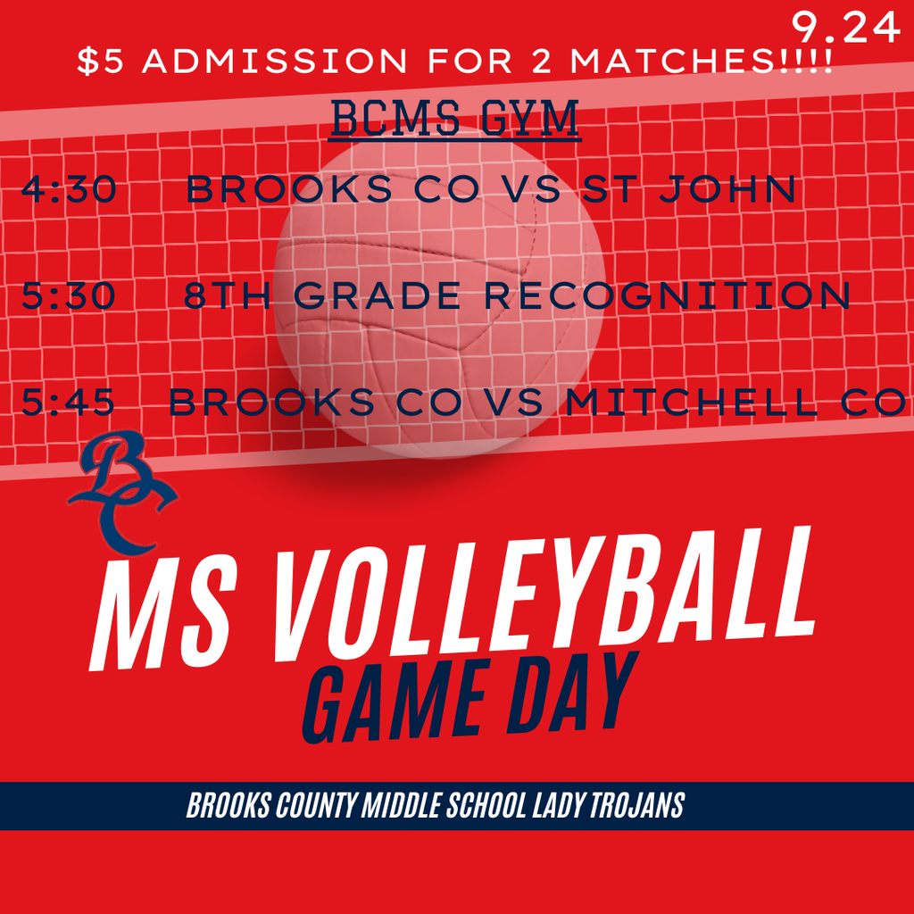MS VB