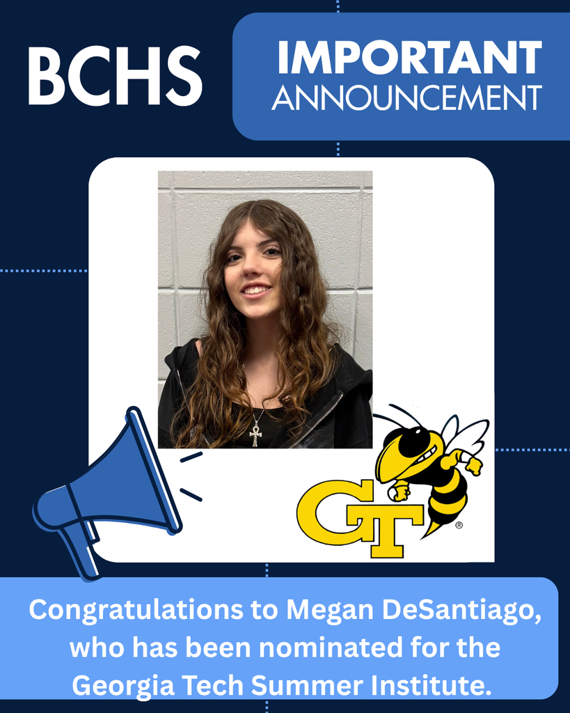 GaTech Summer Institute