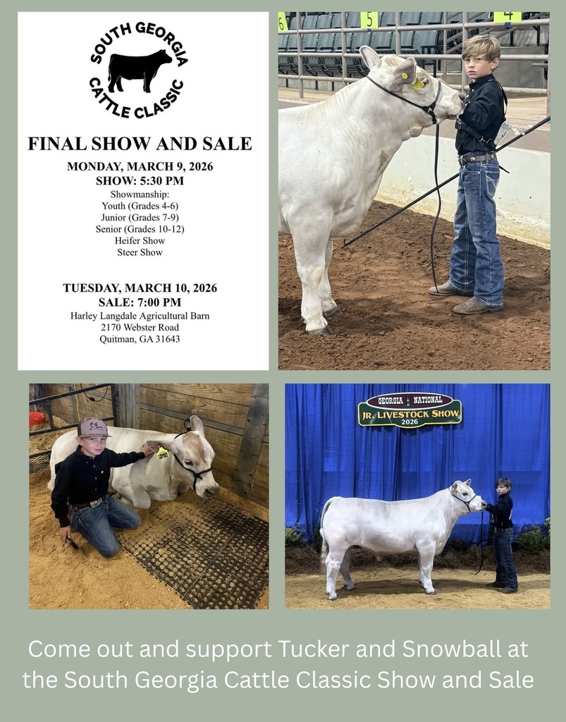 Cattle Show and Sale