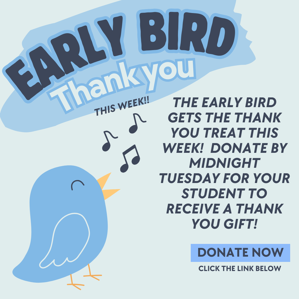 Phoenix Fund 2025-2026