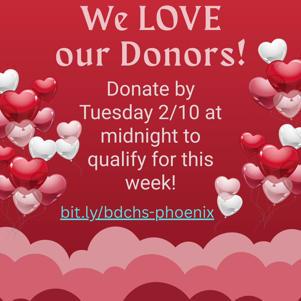 Phoenix Fund 2025-2026