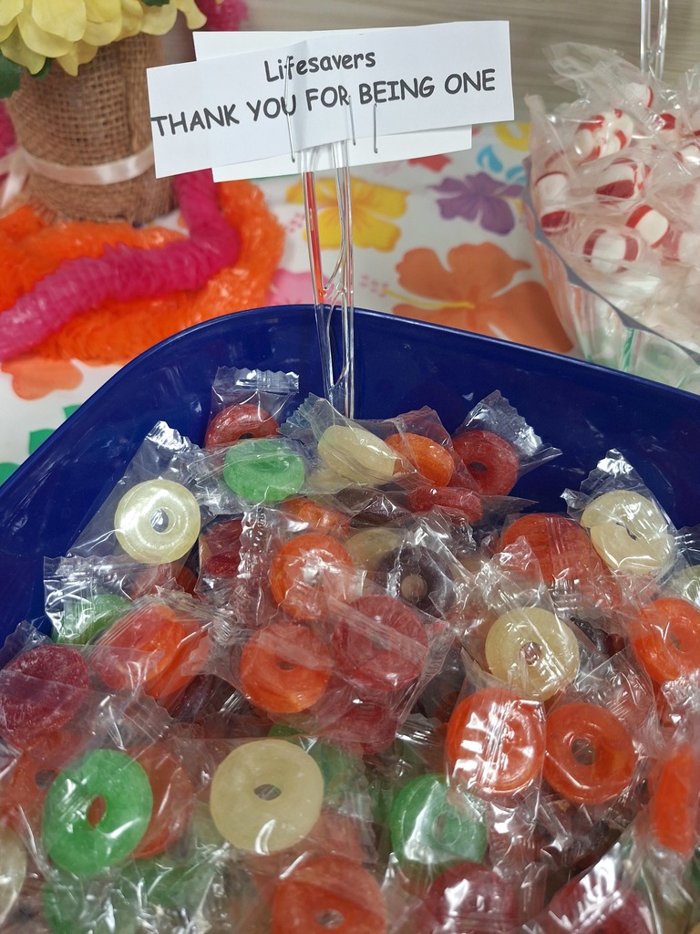 BDCHS Appreciation Week