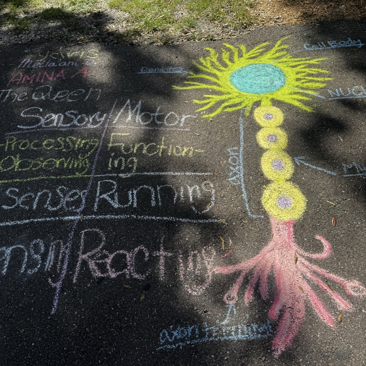 Student Work