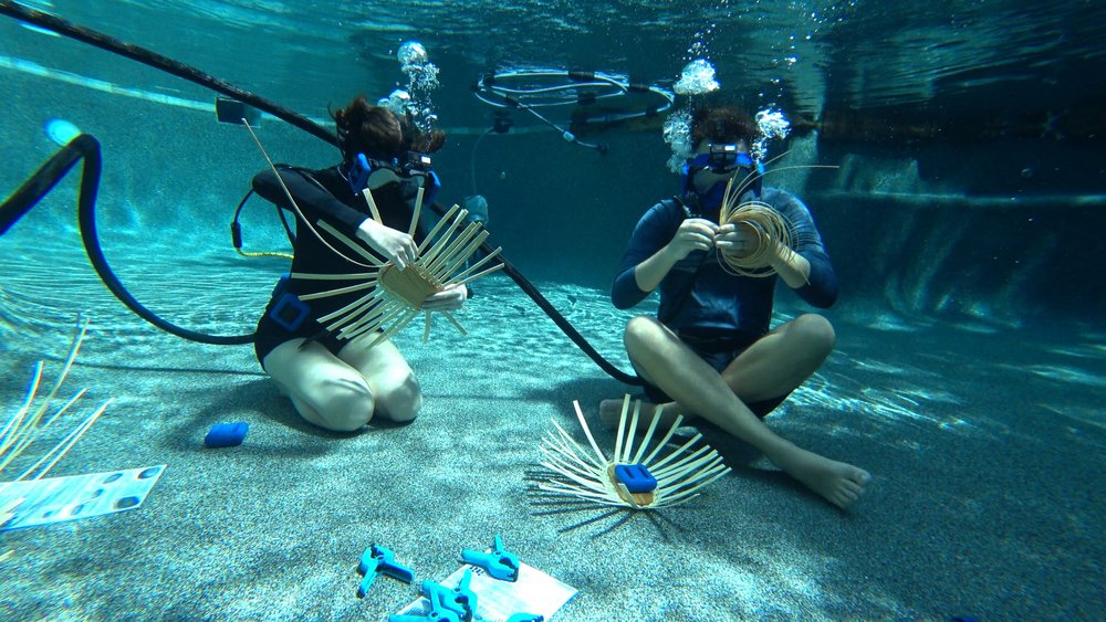 Moon during lunar eclipse