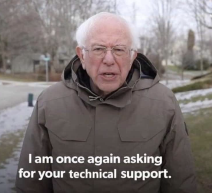 bernie meme