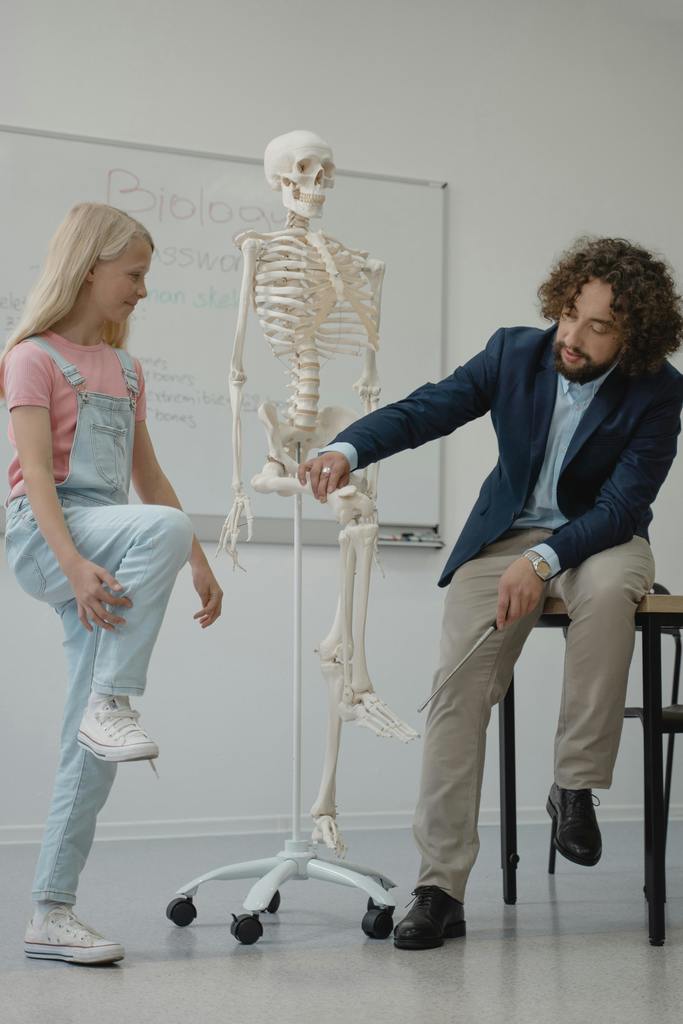 teacher shows student the knee joint on a skeletal model