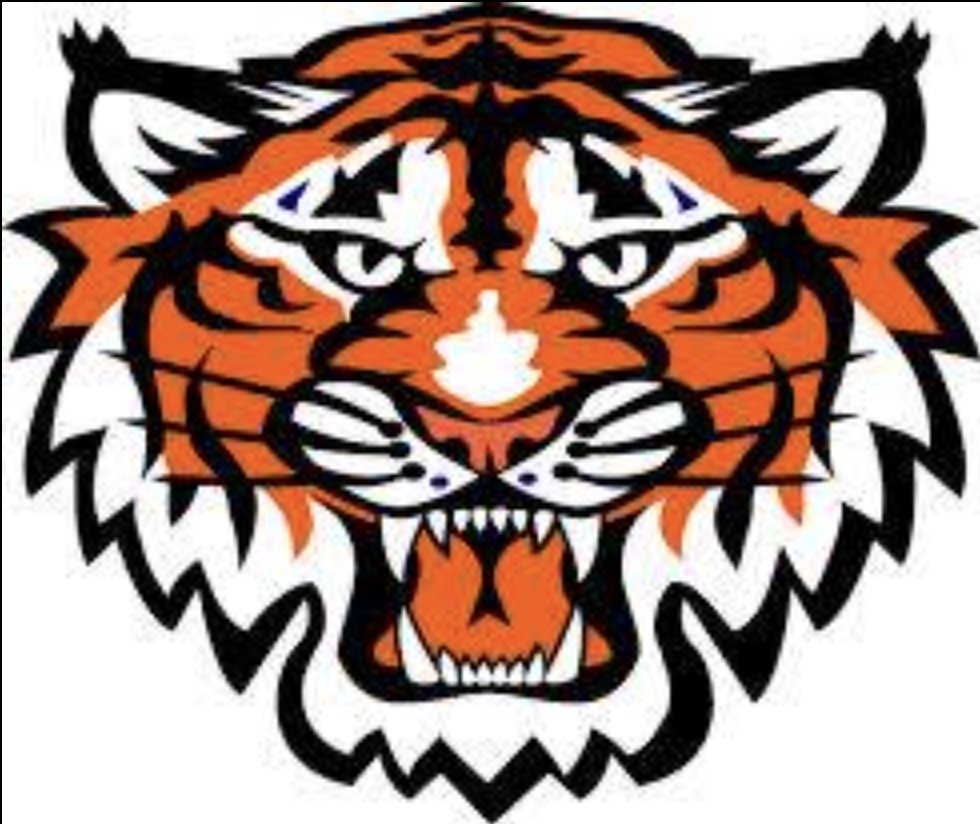 Tiger with orange and black stripes bearing teeth.