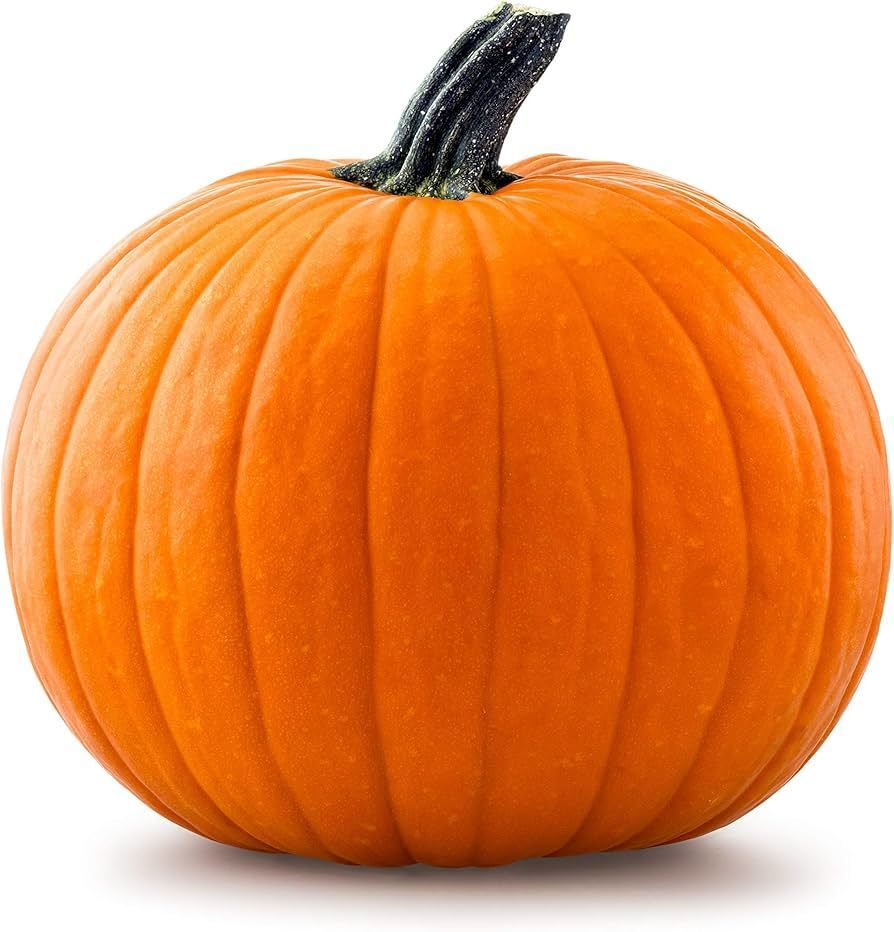 a big orange pumpkin