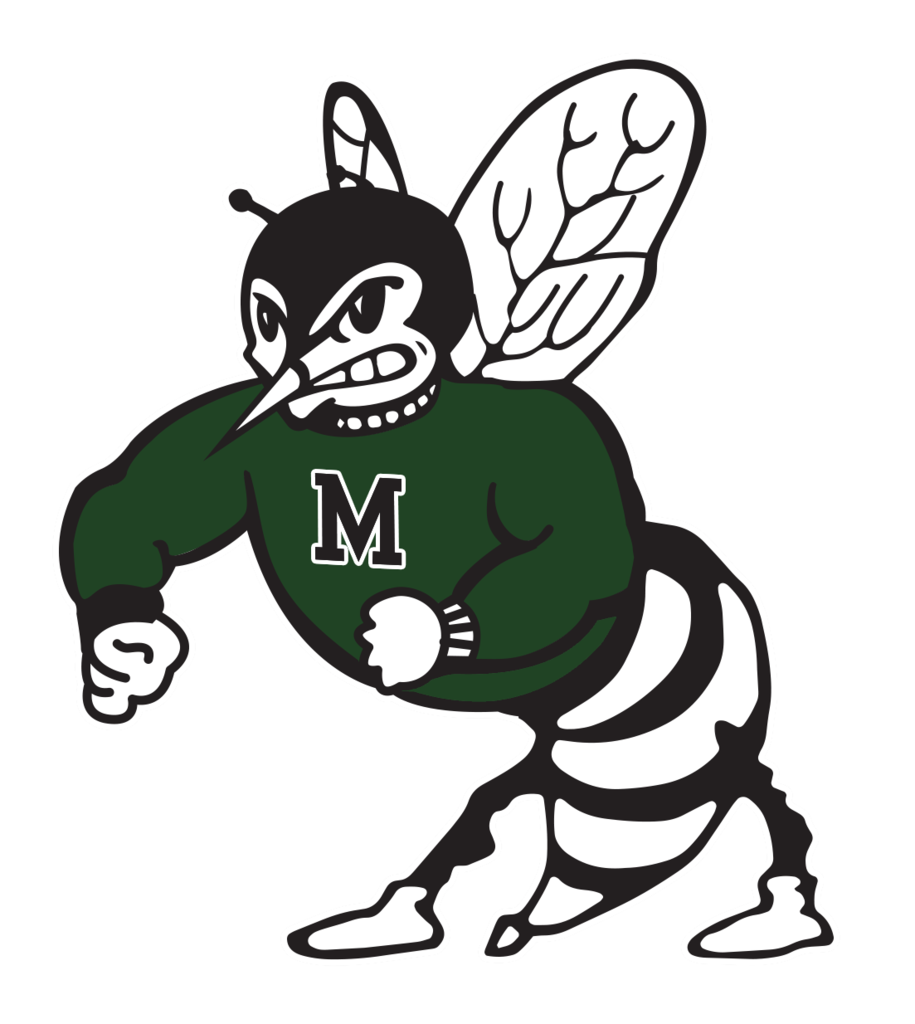 Go Hornets