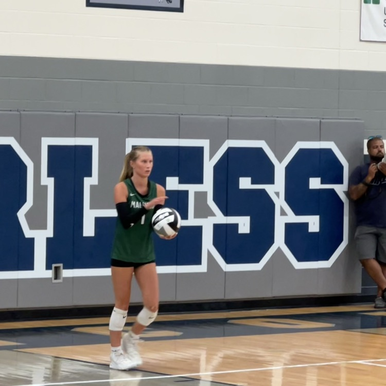 vb