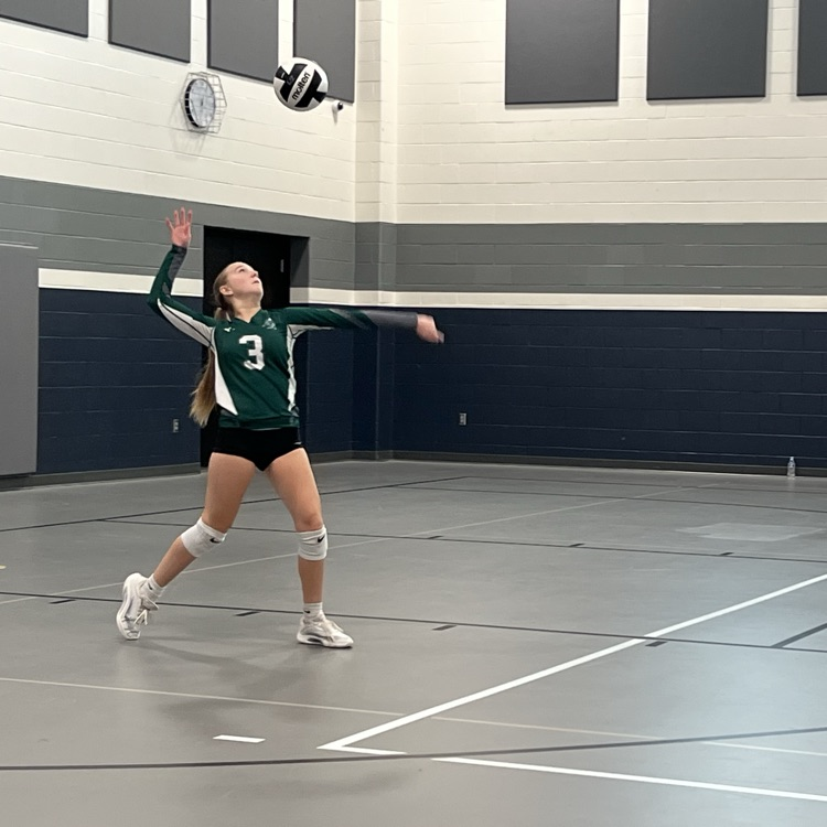 vb